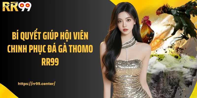 Bí quyết giúp hội viên chinh phục đá gà Thomo RR99