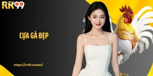 Cựa Gà Đẹp Và Cách Nhận Diện Chiến Kê Có Lực Thi Đấu Mạnh