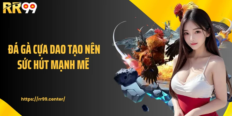 Đá gà cựa dao tạo nên sức hút mạnh mẽ 