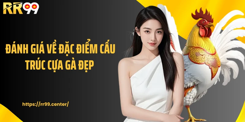 Đánh giá về đặc điểm cấu trúc cựa gà đẹp 