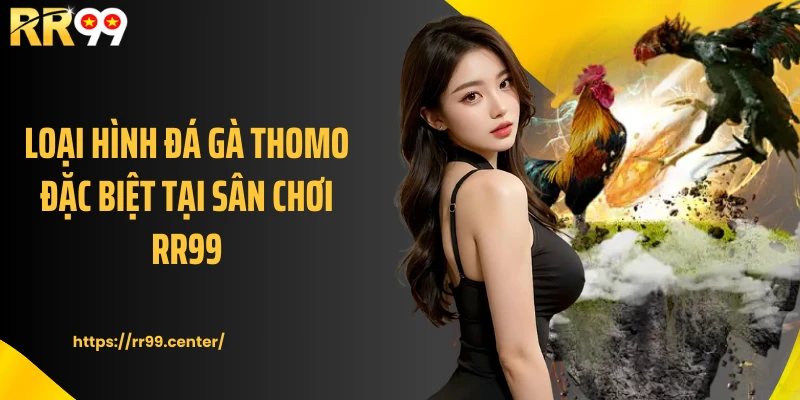 Loại hình đá gà Thomo đặc biệt tại sân chơi RR99