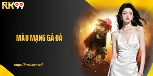 Màu Mạng Gà Đá Theo Ngũ Hành Và Cách Chọn Chuẩn Xác